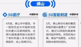 今日佛山爆料消息查询电话
